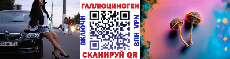 Псилоцибиновые грибы Cubensis  купить   Жуковский 