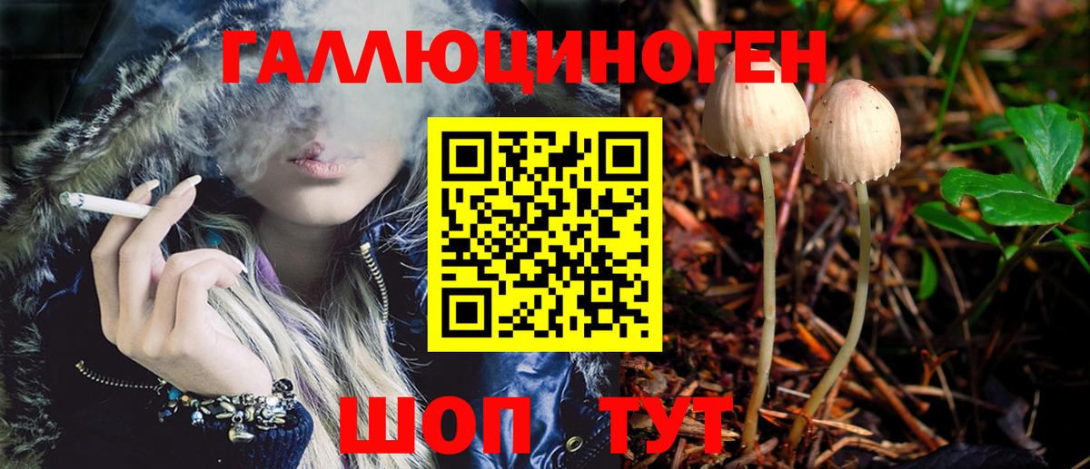 Псилоцибиновые грибы мицелий Жуковский