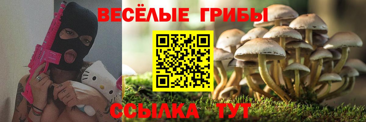 Галлюциногенные грибы мицелий  Вход с VPN  Жуковский  Псилоцибиновые грибы MAGIC MUSHROOMS 